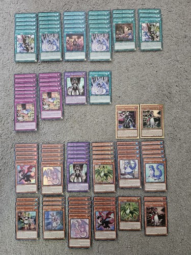 Dragonmaid deck card - yu-gi-oh!,