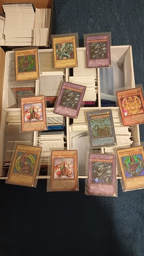 1000 holo cards - holo,